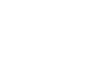 johhny ont the spot logo